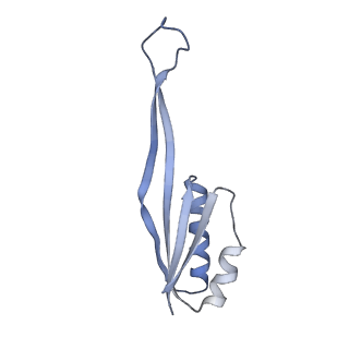 14752_7zjx_Sf_v1-0
Rabbit 80S ribosome programmed with SECIS and SBP2