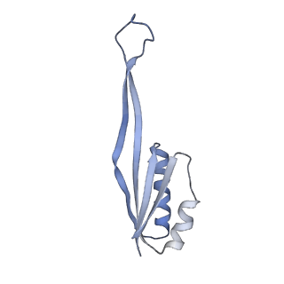 14752_7zjx_Sf_v2-0
Rabbit 80S ribosome programmed with SECIS and SBP2