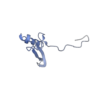 14752_7zjx_Sg_v1-0
Rabbit 80S ribosome programmed with SECIS and SBP2