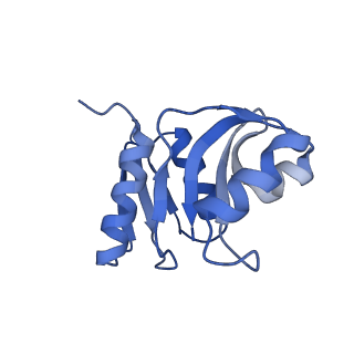 14752_7zjx_Sh_v1-0
Rabbit 80S ribosome programmed with SECIS and SBP2