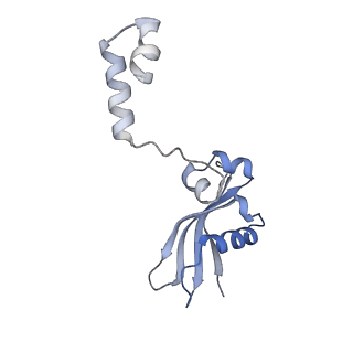 14752_7zjx_Sj_v1-0
Rabbit 80S ribosome programmed with SECIS and SBP2