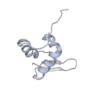 14752_7zjx_Sk_v1-0
Rabbit 80S ribosome programmed with SECIS and SBP2