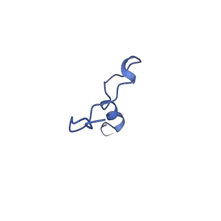 11242_6zka_4_v1-2
Membrane domain of open complex I during turnover