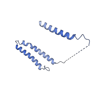 11242_6zka_A_v1-2
Membrane domain of open complex I during turnover