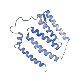 11242_6zka_J_v1-2
Membrane domain of open complex I during turnover