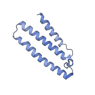 11242_6zka_K_v1-2
Membrane domain of open complex I during turnover
