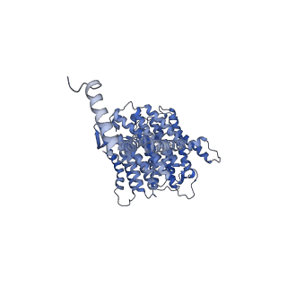 11242_6zka_L_v1-2
Membrane domain of open complex I during turnover