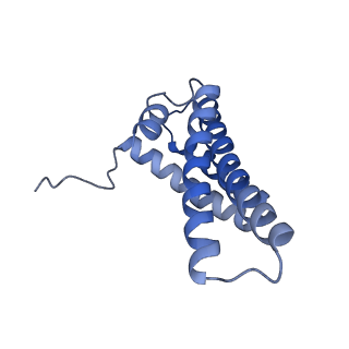 11242_6zka_V_v1-2
Membrane domain of open complex I during turnover