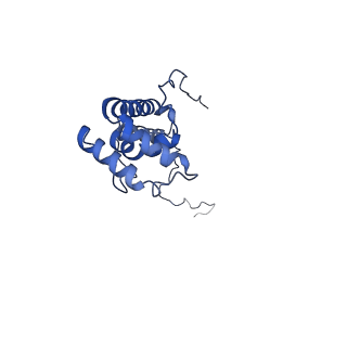 11242_6zka_Y_v1-2
Membrane domain of open complex I during turnover