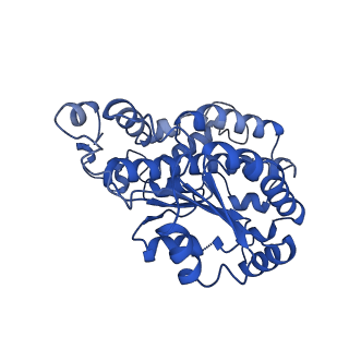 11242_6zka_k_v1-2
Membrane domain of open complex I during turnover