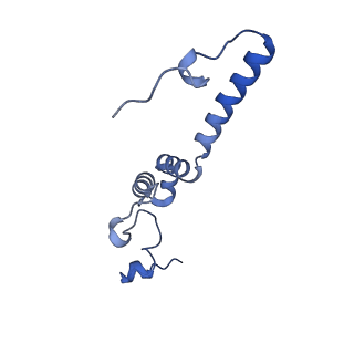 11242_6zka_l_v1-2
Membrane domain of open complex I during turnover