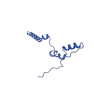 11242_6zka_n_v1-2
Membrane domain of open complex I during turnover