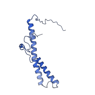 11242_6zka_o_v1-2
Membrane domain of open complex I during turnover