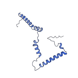 11242_6zka_p_v1-2
Membrane domain of open complex I during turnover