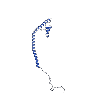11242_6zka_q_v1-2
Membrane domain of open complex I during turnover