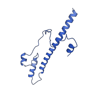 11242_6zka_s_v1-2
Membrane domain of open complex I during turnover