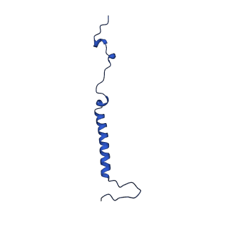 11242_6zka_u_v1-2
Membrane domain of open complex I during turnover