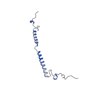 11242_6zka_w_v1-2
Membrane domain of open complex I during turnover