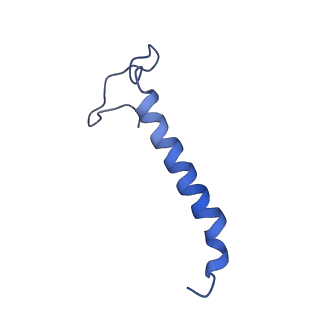 11242_6zka_y_v1-2
Membrane domain of open complex I during turnover