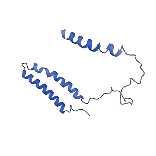 11243_6zkb_A_v1-2
Membrane domain of closed complex I during turnover