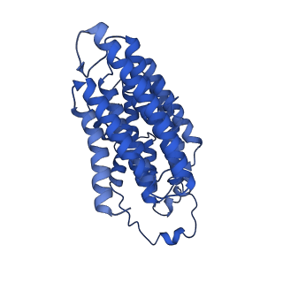 11243_6zkb_N_v1-2
Membrane domain of closed complex I during turnover