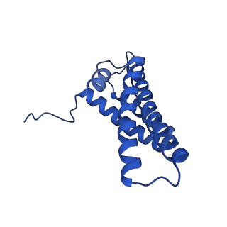 11243_6zkb_V_v1-2
Membrane domain of closed complex I during turnover
