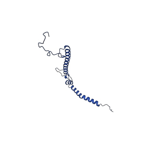 11243_6zkb_W_v1-2
Membrane domain of closed complex I during turnover