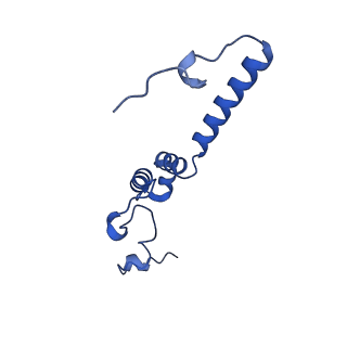 11243_6zkb_l_v1-2
Membrane domain of closed complex I during turnover