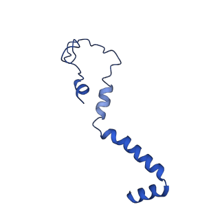 11243_6zkb_m_v1-2
Membrane domain of closed complex I during turnover