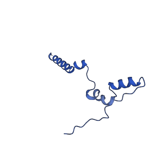 11243_6zkb_n_v1-2
Membrane domain of closed complex I during turnover