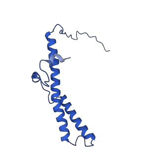 11243_6zkb_o_v1-2
Membrane domain of closed complex I during turnover