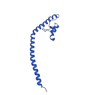 11243_6zkb_q_v1-2
Membrane domain of closed complex I during turnover