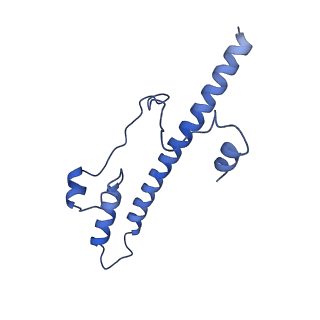 11243_6zkb_s_v1-2
Membrane domain of closed complex I during turnover