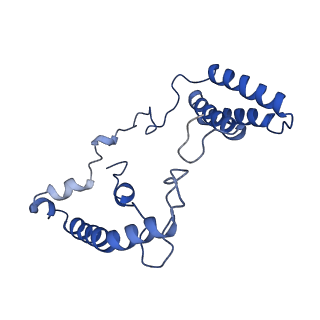 11243_6zkb_t_v1-2
Membrane domain of closed complex I during turnover