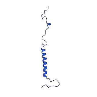 11243_6zkb_u_v1-2
Membrane domain of closed complex I during turnover