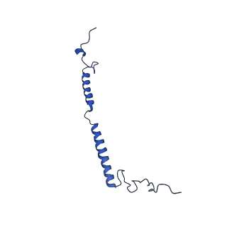 11243_6zkb_w_v1-2
Membrane domain of closed complex I during turnover