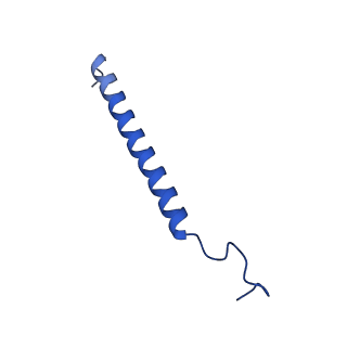 11243_6zkb_x_v1-2
Membrane domain of closed complex I during turnover