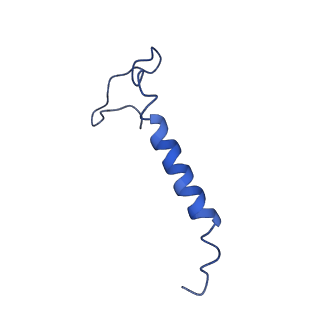 11243_6zkb_y_v1-2
Membrane domain of closed complex I during turnover