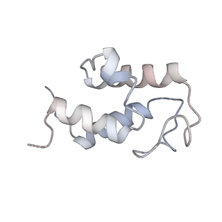 11252_6zkk_X_v1-2
Complex I inhibited by rotenone, closed