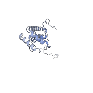 11252_6zkk_Y_v1-2
Complex I inhibited by rotenone, closed