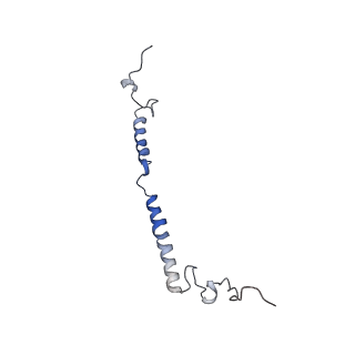 11252_6zkk_w_v1-2
Complex I inhibited by rotenone, closed