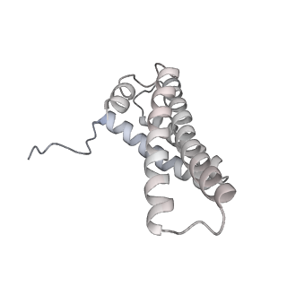 11253_6zkl_V_v1-2
Complex I inhibited by rotenone, open1