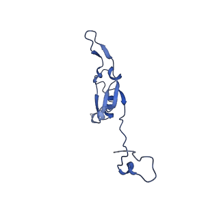 11254_6zkm_c_v1-2
Complex I inhibited by rotenone, open2