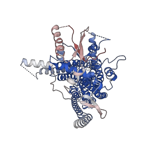 14753_7zk3_B_v1-1
Structure of 1PBC- and calcium-bound mTMEM16A(ac) chloride channel at 2.85 A resolution
