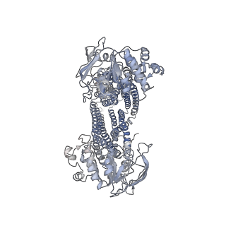 14759_7zk9_A_v1-1
ABCB1 L971C mutant (mABCB1) in the inward facing state