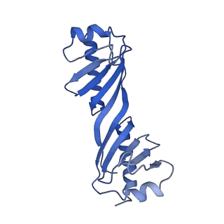 14762_7zke_D_v1-3
Mot1:TBP:DNA - pre-hydrolysis state