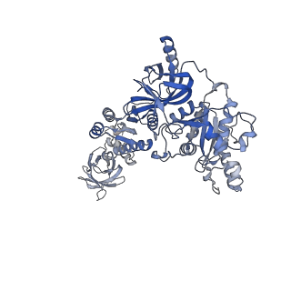14763_7zki_7_v1-1
Cryo-EM structure of aIF1A:aIF5B:Met-tRNAiMet complex from a Pyrococcus abyssi 30S initiation complex
