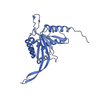 11268_6zlm_AB_v1-2
Dihydrolipoyllysine-residue acetyltransferase component of fungal pyruvate dehydrogenase complex with protein X bound