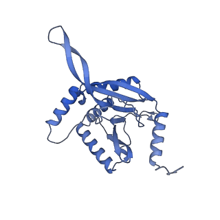 11268_6zlm_BA_v1-2
Dihydrolipoyllysine-residue acetyltransferase component of fungal pyruvate dehydrogenase complex with protein X bound