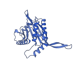 11268_6zlm_B_v1-2
Dihydrolipoyllysine-residue acetyltransferase component of fungal pyruvate dehydrogenase complex with protein X bound